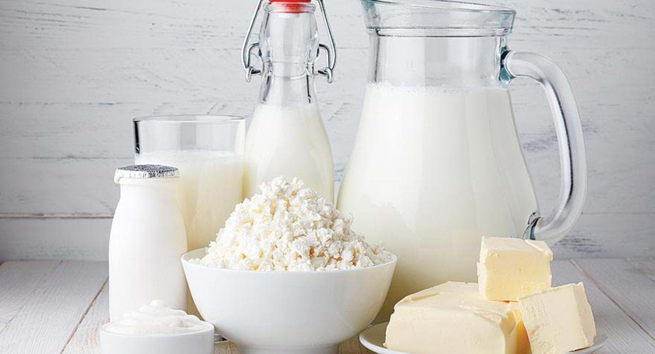 Süt ve Süt Ürünlerinin Soğuk Hava Deposu da Saklama Koşulları Nelerdir?
